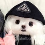 Avatar de Bianca Molina